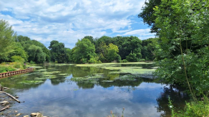 Wanderung entlang der Nidda bis Ginnheim